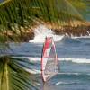 Windsurfer coming ashore @ Ocean Spray 