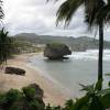 Bathsheba @ da eastcoast of Barbados26.02.04