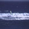 2000: Big Waves at Silver Rock Reef (Goya + 5.3)