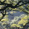 Da heavenly road to Hana @ Maui