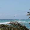 Da view @ Seascape Beach House Barbados