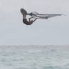 High table top by Arjen@Seascape Beach House Barbados