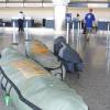 Da boardbags @ Airport Barbados