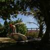 Mario packing in the garden@Seascape Beach House Barbados