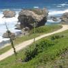 Coral rocks @ Bathsheba Barbados