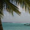 Windsurfing @ Sandy Beach Barbados