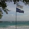 Silver Sands Beach @ Club Mistral Barbados