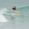 Arjen surfing a clean barrel @ Freights Barbados