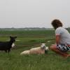 Brian Talma & the sheep @ Windsurfing Renesse 17.05.06
