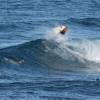 Kelly Slater @ Bathsheba 10.11.06 080