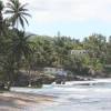 Martins Bay @ Eastcoast Barbados