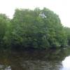 Graeme Hall swamp @ Barbados