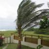 Palmtree in the storm @ Seascape Barbados