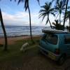 The surfzuki car parked @ Parlors Bathsheba Barbados