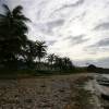 Beach @ Parlors Bathsheba Barbados