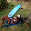 Photographer Ianthe fallen asleep... @ Parlors Bathsheba Barbados