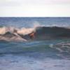 Arjen surfing his McTavish 9'1 @ Parlors Bathsheba Barbados