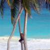 Climbing down the coconut tree @ Bottom Bay Barbados