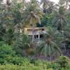 House hidden between the coconuttrees @ Martins Bay Barbados