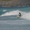 Longboarder riding a long wave 7 @ Long Beach