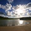 Long Pond Morgan Lewis Beach @ Barbados