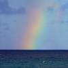 Rainbow @ Bathsheba Barbados