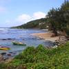 Martins Bay @ Barbados