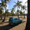 Da surfzuki in a coconut plantation @ Barbados