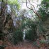 Old train track @ Conset Bay Barbados