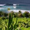 Parlors @ Surfer Paradise Barbados
