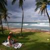 Adelimar @ Bathsheba Surfers Paradise Barbados