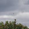 Helicopter going down vertical @ Surfers Point Barbados