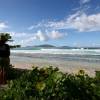 Adelimar checking the surfaction @ Tortola's Northshore