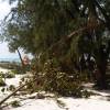 Miami Beach after the passage of hurricane Tomas