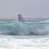 Massive wave @ Surfers Point Barbados