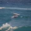 Table top by Arjen with the Sailboards Tarifa Wave @ Barbados