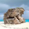 Coral rock on the beach @ Barbados