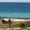 Adelimar whalewatching @ Seascape Beach House Barbados