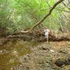 Inside the River Bay cove in the north of Barbados