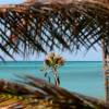 A calm day @ Seascape Beach House Barbados
