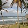 Bathsheba @ Barbados