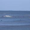 Surfers @ Plage des Grenettes