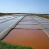 Les salines sur Ré