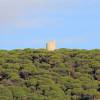 Old watchtower on the hill in Canos de Meca