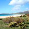 Beautiful Bolonia