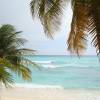 Surfers Paradise Barbados