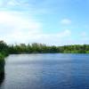 Graeme Hall nature reserve on the south coast of Barbados