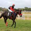 The jockeys showing the horses to the public @ Barbados