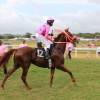 The jockeys showing the horses to the public @ Barbados