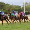 The Sandy Lane Goldcup 2012 Horse Race @ Barbados
